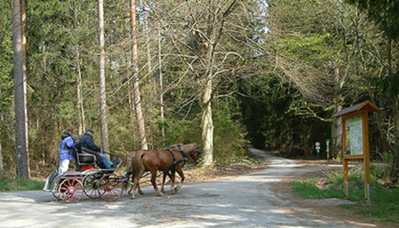 Hotel Landgasthaus Zum Moenchshof à Wolframs-Eschenbach Extérieur photo